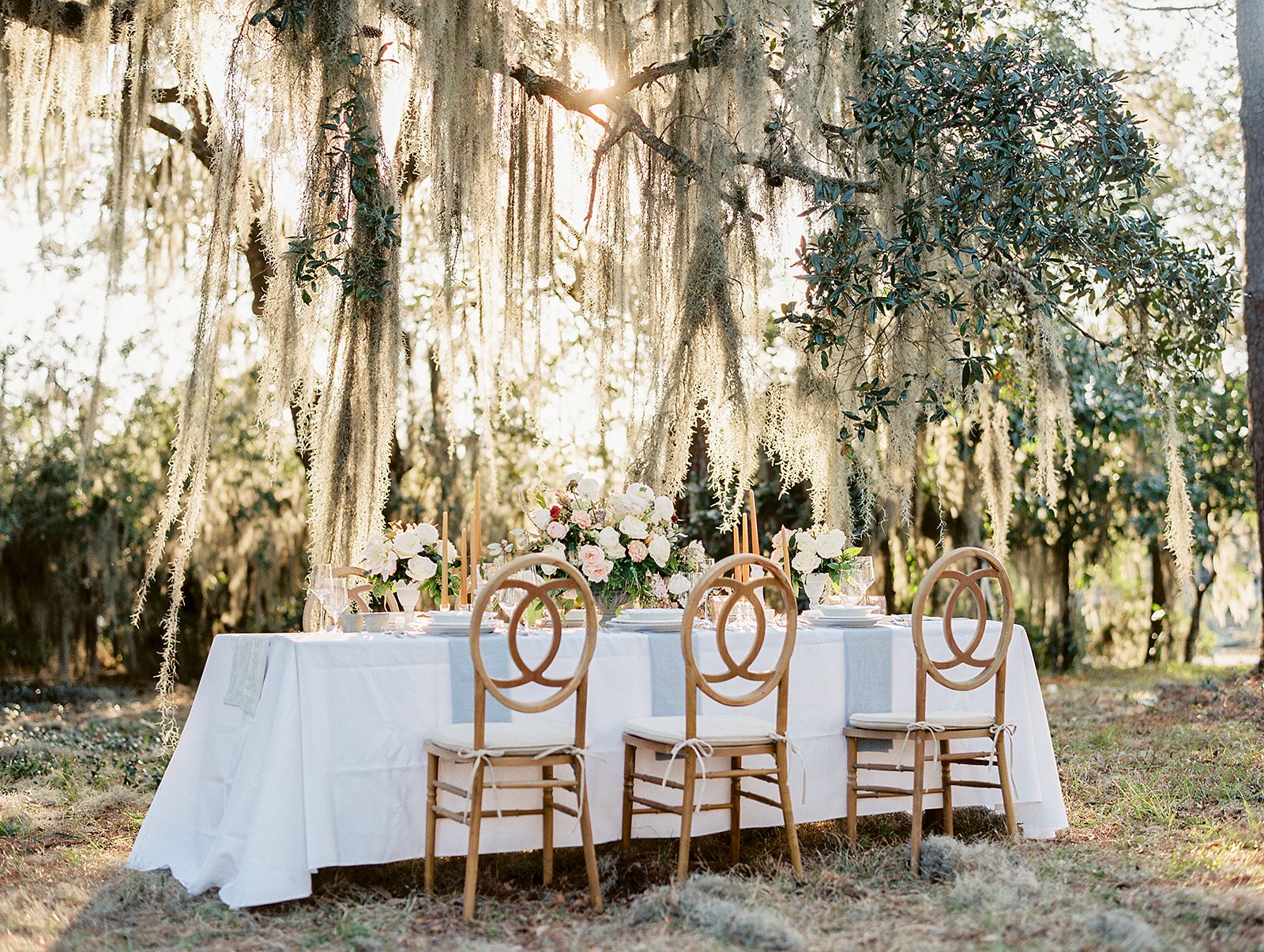 A long dinner table with gold chairs under live oaks hung with Spanish moss